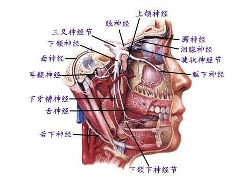 三叉神经痛